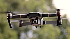Dans les Alpes, un drone a fait plus de dégâts qu’un loup: « Il portait un casque de réalité virtuelle »