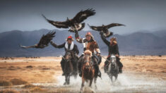 Photos : le lien profond entre les derniers gardiens d’aigles de Mongolie et leurs puissants oiseaux
