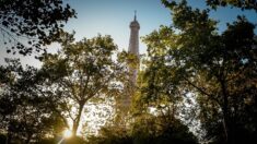 Algérie : il fait le buzz en se construisant une « maison tour Eiffel »