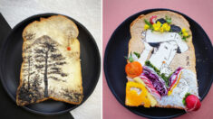 Un designer japonais transforme les toasts en œuvres d’art comestibles. Le confinement inspire la créativité au petit-déjeuner