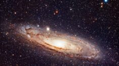 Un homme se met à l’astronomie pendant le confinement ; il réalise maintenant d’étonnantes photos de l’espace depuis son jardin