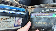 Un homme retrouve son portefeuille volé, 20 ans après, avec toutes ses cartes intactes