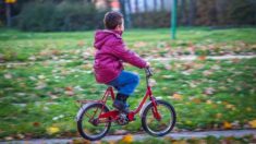Morbihan : à 5 ans, il s’échappe de chez lui à vélo pour acheter des bonbons