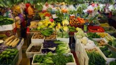 Bouches-du-Rhône : un grossiste soupçonné d’avoir « francisé » des centaines de tonnes de légumes espagnols