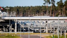 Le PDG de Nord Stream 2 pense que le gazoduc sera achevé cet été