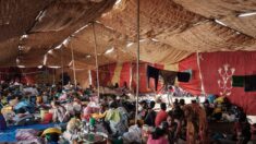 Tigré: plus de 400.000 personnes en situation de famine, selon l’ONU