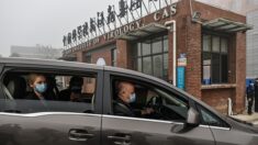 La Chine dénonce « l’arrogance » de l’OMS sur les origines de la pandémie