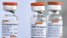 Les anticorps des vaccins peuvent commencer à diminuer six semaines après la deuxième injection, selon une étude britannique