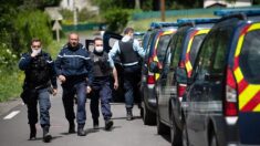 Près de Rouen : un enfant de 4 ans perdu en forêt retrouvé sain et sauf par les forces de l’ordre