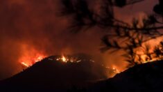 Chypre: quatre morts dans le pire incendie depuis des décennies sur l’île