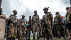 « On ne reculera pas »: à la frontière du Tigré, les milices amhara prêtes au combat