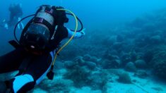 Grèce: au musée sous-marin d’Alonissos, « on plonge dans l’histoire »