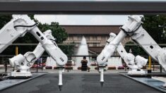 JO-2020: des robots reconvertis en jardiniers zen exposés à Tokyo