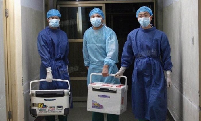 Des médecins transportent des organes frais pour une transplantation dans un hôpital de la province du Henan, en Chine. (Capture d'écran via Sohu.com)