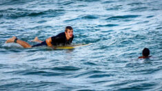 Un surfeur repère au loin un garçon de 11 ans pris dans un courant marin et lui sauve la vie