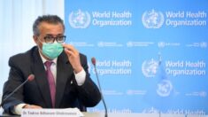 Presque un an et demi après avoir déclaré la pandémie, l’OMS demande des « audits » des laboratoires de Wuhan