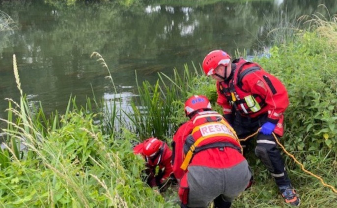 Les secours ont pu intervenir grâce à Twiggy, qui a couru chercher de l'aide lorsqu'il a vu que sa maîtresse était en danger. (Crédit : Bedfordshire fire control)