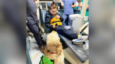 Un garçon autiste a peur du fauteuil du dentiste jusqu’à ce que son chien d’assistance se fasse d’abord examiner les dents