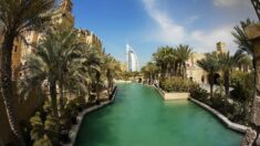 À Dubaï, la piscine la plus profonde du monde a été inaugurée