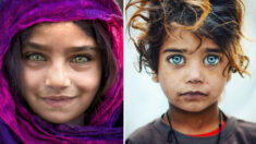 Un photographe erre dans les rues d’Istanbul pour prendre des photos d’enfants dont les yeux brillent comme des pierres précieuses
