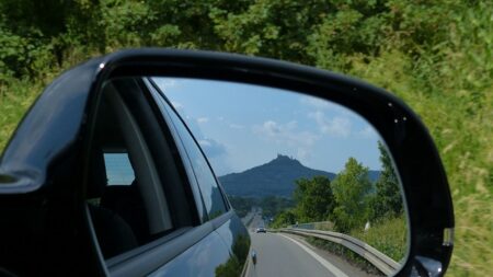 [Vidéo] Un serpent surgit sur leur rétroviseur lors d’un trajet en voiture dans le Jura