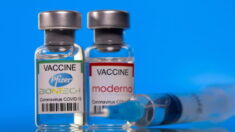 Vaccins anti-Covid 19 : Moderna déconseillé actuellement en France pour les rappels