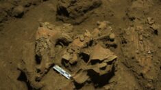La découverte de vestiges vieux de 7.000 ans lève certains mystères sur un groupe d’humains inconnu