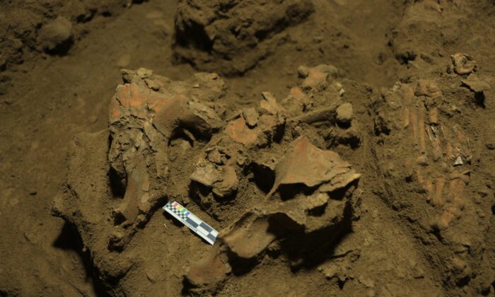 Des archéologues ont trouvé les ossements d'une adolescente toaléenne à Sulawesi. (Photo fournie par l'équipe de recherche de Leang Panninge)