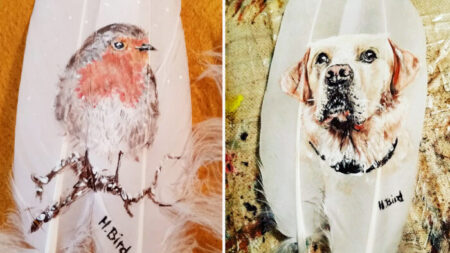 Photos : une artiste peint sur des plumes d’étonnantes photos d’oiseaux et d’animaux domestiques