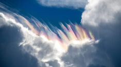 Un photographe capture un étonnant « nuage iridescent » aux couleurs de l’arc-en-ciel au-dessus d’une tempête à Cap Canaveral