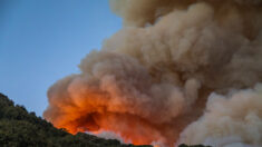 Une étude établit un lien entre le nombre excessif de cas et de décès dus au Covid-19 et la fumée des feux de forêt