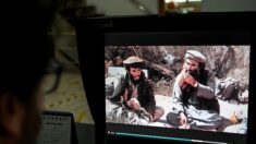 Le réseau Haqqani: des attentats-suicides au gouvernement afghan