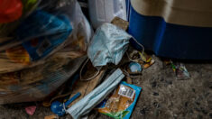 Vendée : ils jettent leurs poubelles n’importe où, la maire les rapporte à leur domicile
