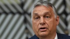 Orban craint des interférences étrangères lors des élections de 2022