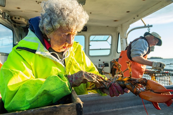 Virginia Oliver, 101 ans, inspecte un homard alors que son fils Max, 78 ans, le lui passe avant de le baguer, à Penobscot Bay, Maine, le 31 juillet 2021. Photo de Joseph Prezioso / AFP via Getty Images.