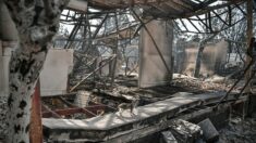 Incendie aux portes d’Athènes: les habitants découvrent « le désastre »