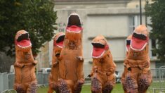 Bayonne : des militants se déguisent en dinosaures T-Rex pour dénoncer la corrida