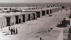 Après la Shoah, avant Israël: des juifs dans des camps britanniques à Chypre