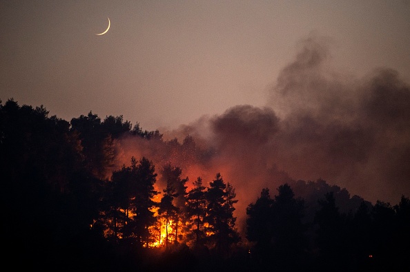 Cette photo montre un feu de forêt dans le village de Gouves sur l'île d'Evia (Eubée), le 10 août 2021.  (ANGELOS TZORTZINIS/AFP via Getty Images)