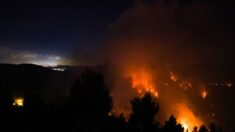 Des maisons près de Jérusalem évacuées suite à un immense incendie