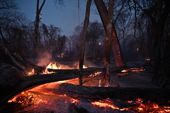 -Une forêt brûle près d'Ascencion, département de Santa Cruz, Bolivie, le 19 août 2021. Photo AIZAR RALDES/AFP via Getty Images.