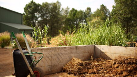 Lorraine : pour punir un voleur de légumes, un agriculteur déverse du fumier devant sa voiture