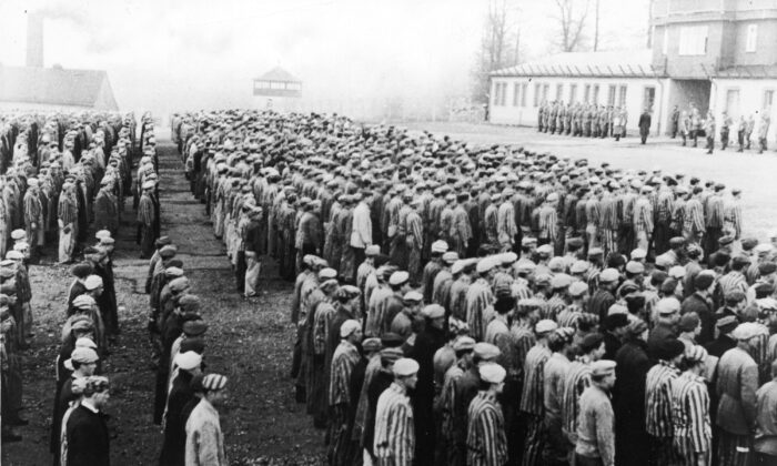 Des prisonniers polonais en uniformes rayés se tiennent en rang devant des officiers nazis au camp de concentration de Buchenwald, Weimar, Allemagne, Seconde Guerre mondiale, vers 1943. (Frederic Lewis/Getty Images) 