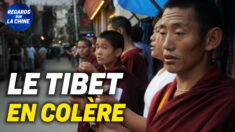 Focus sur la Chine – La Chine fête ses 70 ans de domination du Tibet