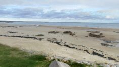 Manche : des obus au phosphore découverts sur une plage à Réville