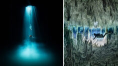 Un plongeur explore des grottes sous-marines au Mexique, les photos sont irréelles