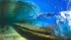 Un photographe préfère l’eau et les vagues aux surfeurs: le résultat est purement « magique »