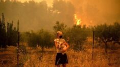 Des volontaires sauvent des animaux de compagnie et de ferme dans les incendies dévastateurs qui ont ravagé la Grèce