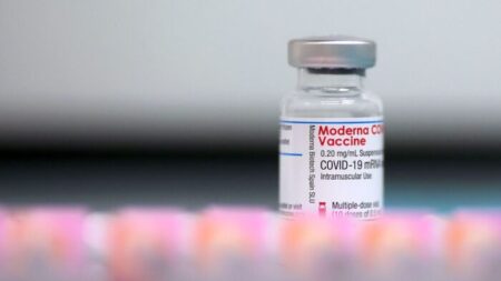 Covid-19 : Moderna rappelle près de 800 000 doses de vaccin après la découverte d’un moustique dans un flacon