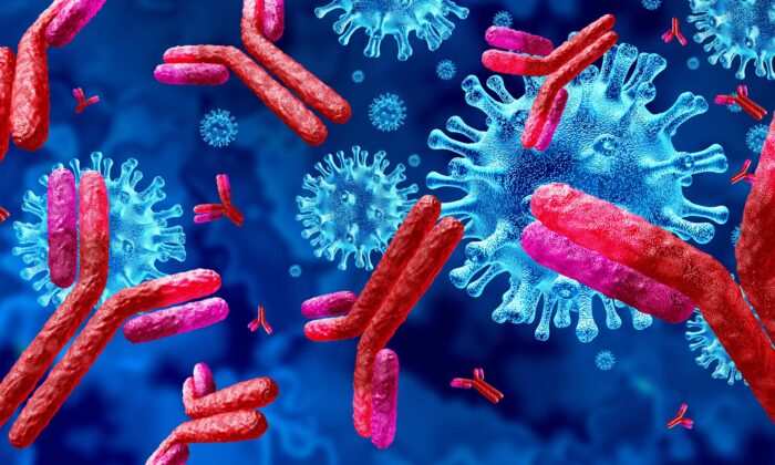 Une nouvelle étude soulève des inquiétudes quant aux anticorps déclenchés par le Covid-19 et les vaccins. (Lightspring/Shutterstock)